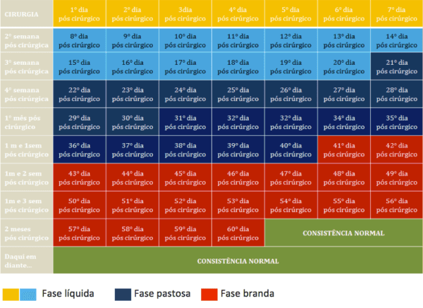 Calendário da evolução das consistências das dietas pós cirurgia bariátrica