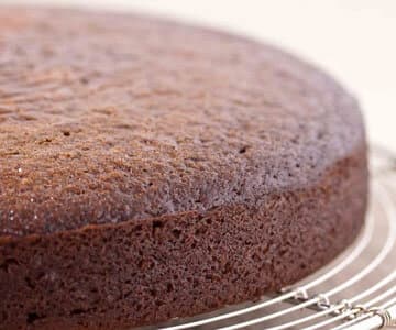 Receita de Pudim de Chocolate com Whey Protein